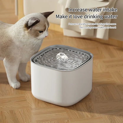 Cat Water Fountain