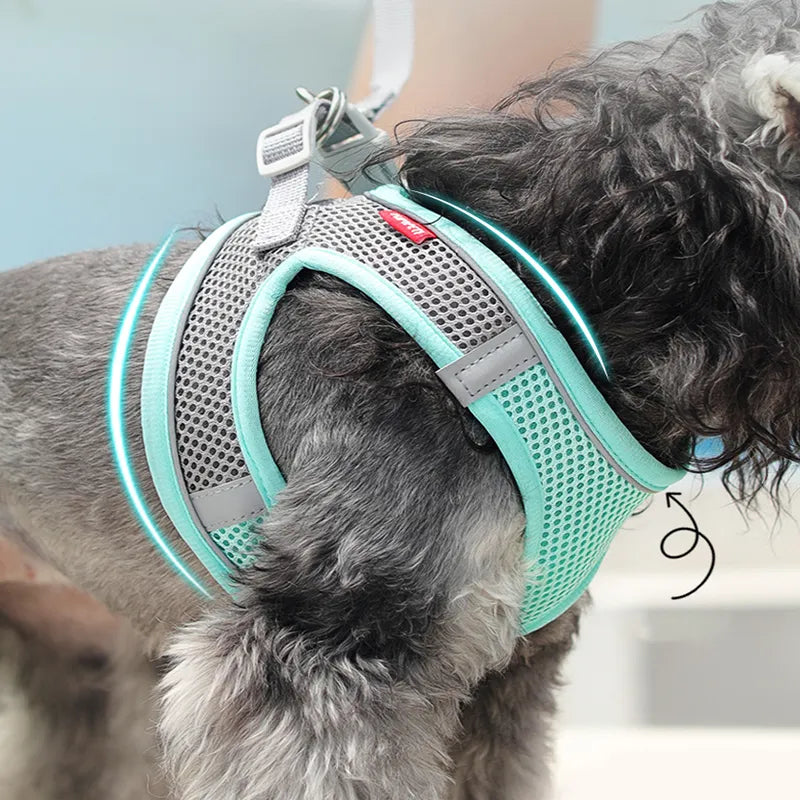 Dog Harness