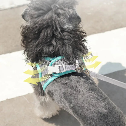 Dog Harness