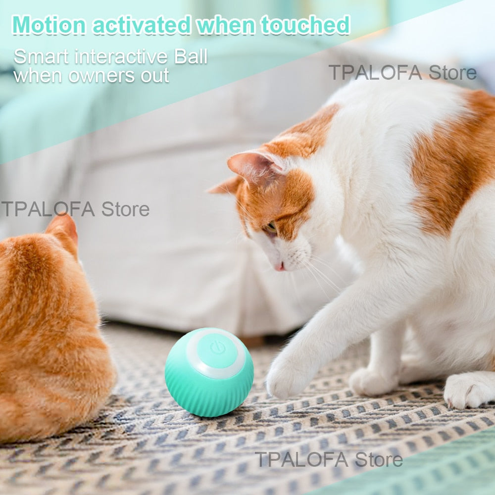 Pet Toy, Smart and Automatic Rolling Interactive Ball